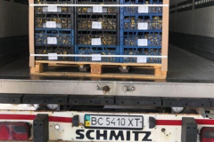 5440897418942680232